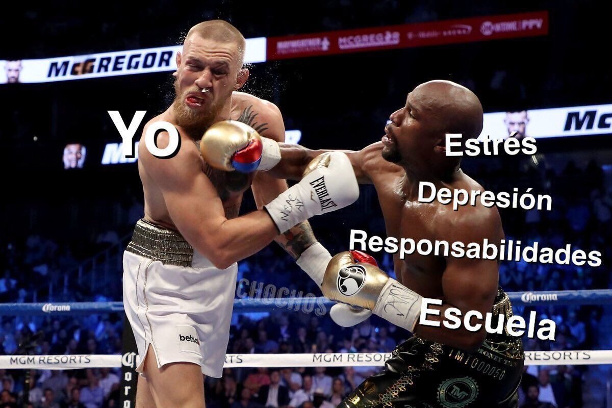 Los Mejores Memes De La Pelea Entre Floyd Mayweather Vs Conor Mcgregor El Rincon De Wally 2258