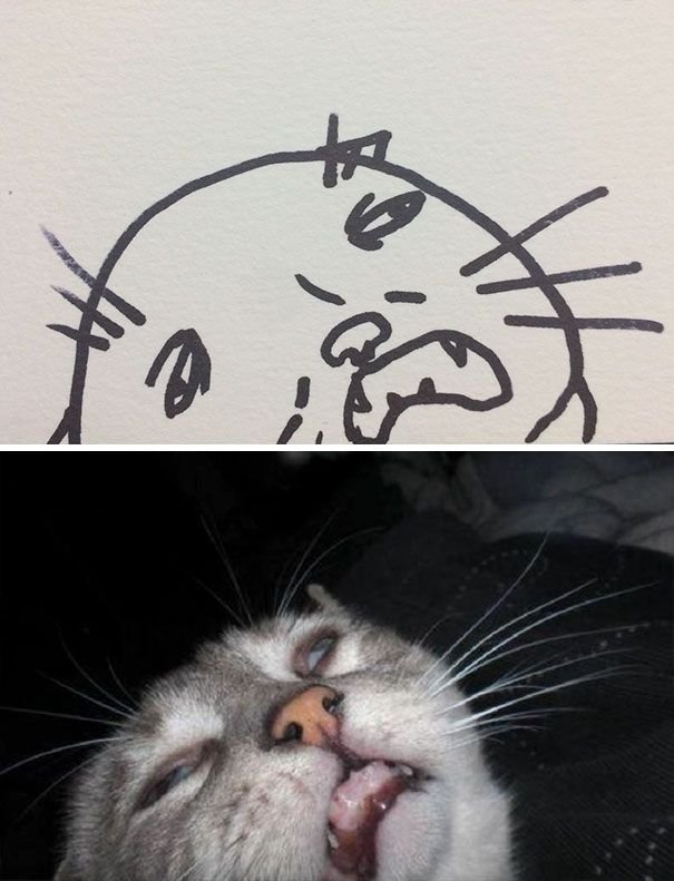 Poorly Cat Draw