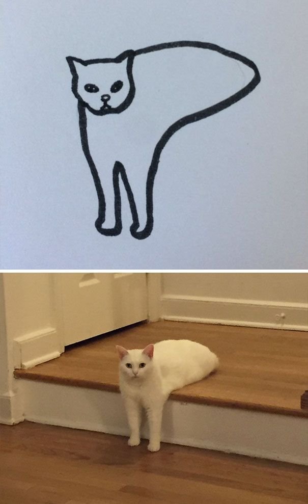 Poorly Cat Draw